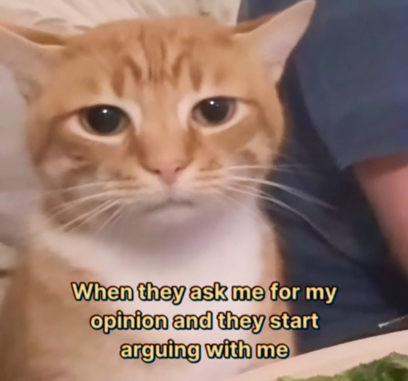 When they ask me for my opinion and they start arguing with me