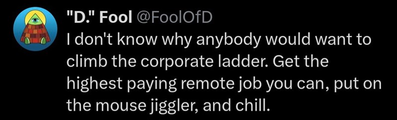 "D." Fool @FoolOfD I don't know why anybody would want to climb the corporate ladder. Get the highest paying remote job you can, put on the mouse jiggler, and chill.