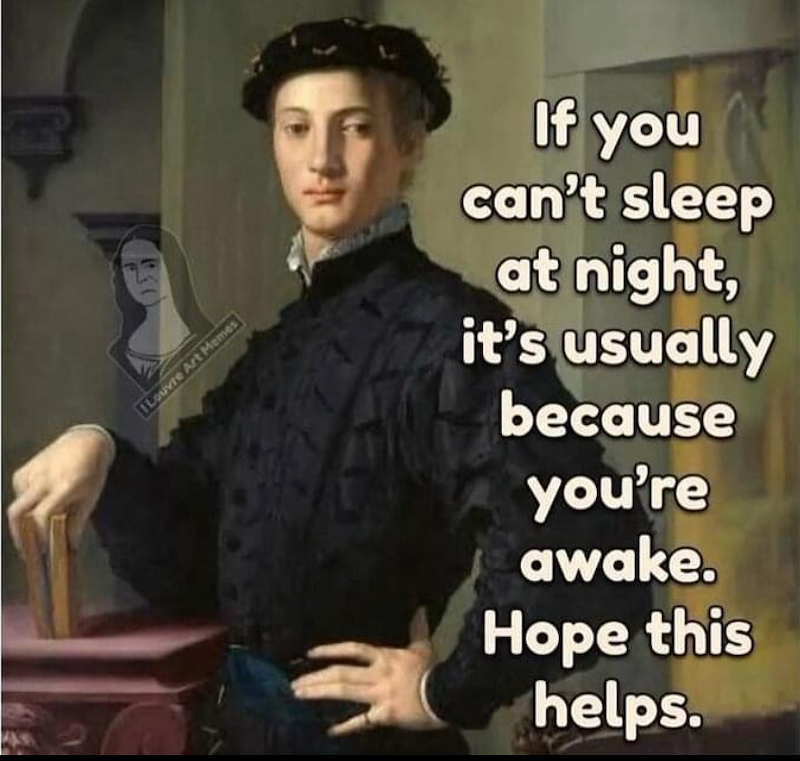ILouvre Art Memes If you can't sleep at night, it's usually because you're awake. Hope this helps.