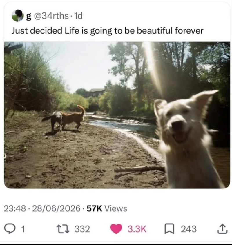 g@34rths. 1d Just decided Life is going to be beautiful forever 23:48 28/06/2026 57K Views Q 1 1 332 3.3K 243 ↑