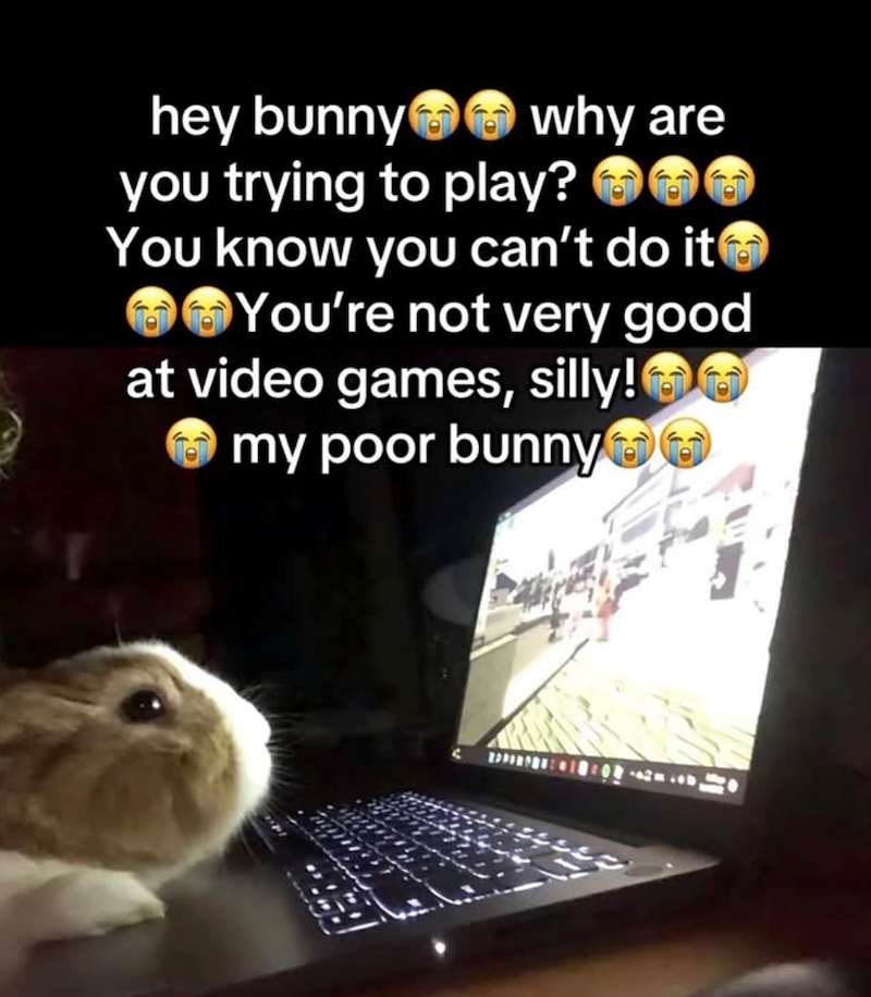 hey bunny why are you trying to play? → You know you can't do it You're not very good at video games, silly! my poor bunny