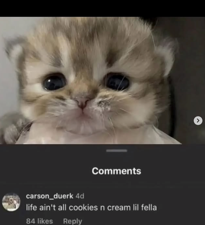 Comments carson_duerk 4d life ain't all cookies n cream lil fella 84 likes Reply
