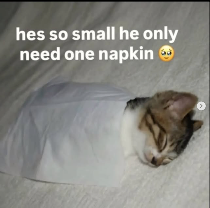 hes so small he only need one napkin