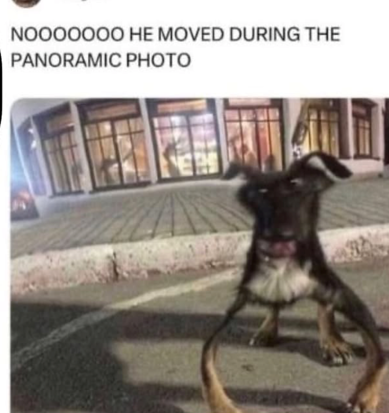 NOOOOOOO HE MOVED DURING THE PANORAMIC PHOTO