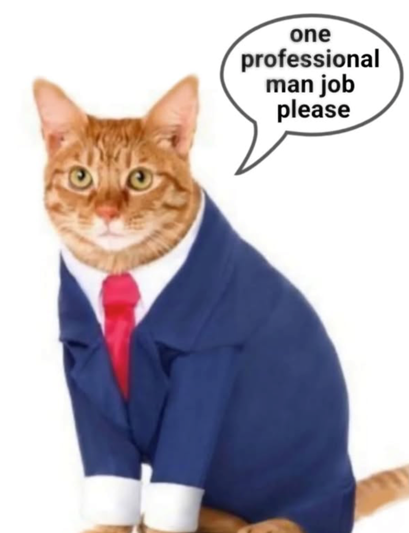 one professional man job please