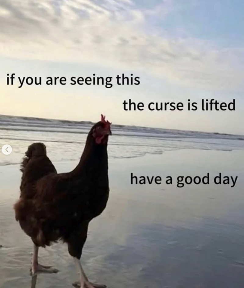 if you are seeing this the curse is lifted have a good day