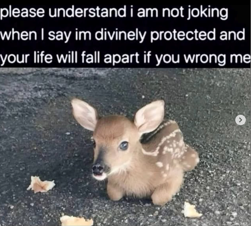 please understand i am not joking when I say im divinely protected and your life will fall apart if you wrong me