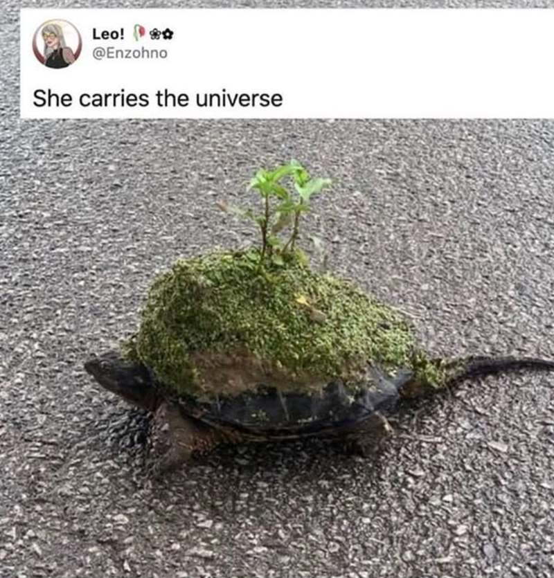 Leo! ✿✿ @Enzohno She carries the universe