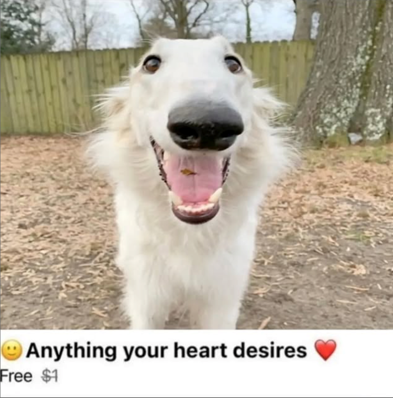Anything your heart desires Free $1