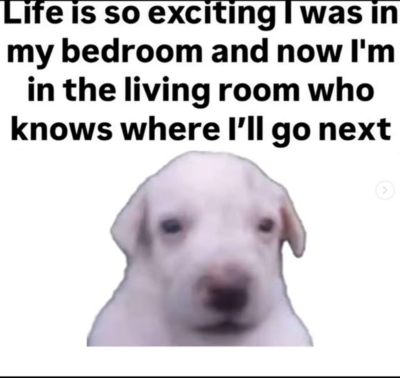 Life is so exciting I was in my bedroom and now I'm in the living room who knows where I'll go next