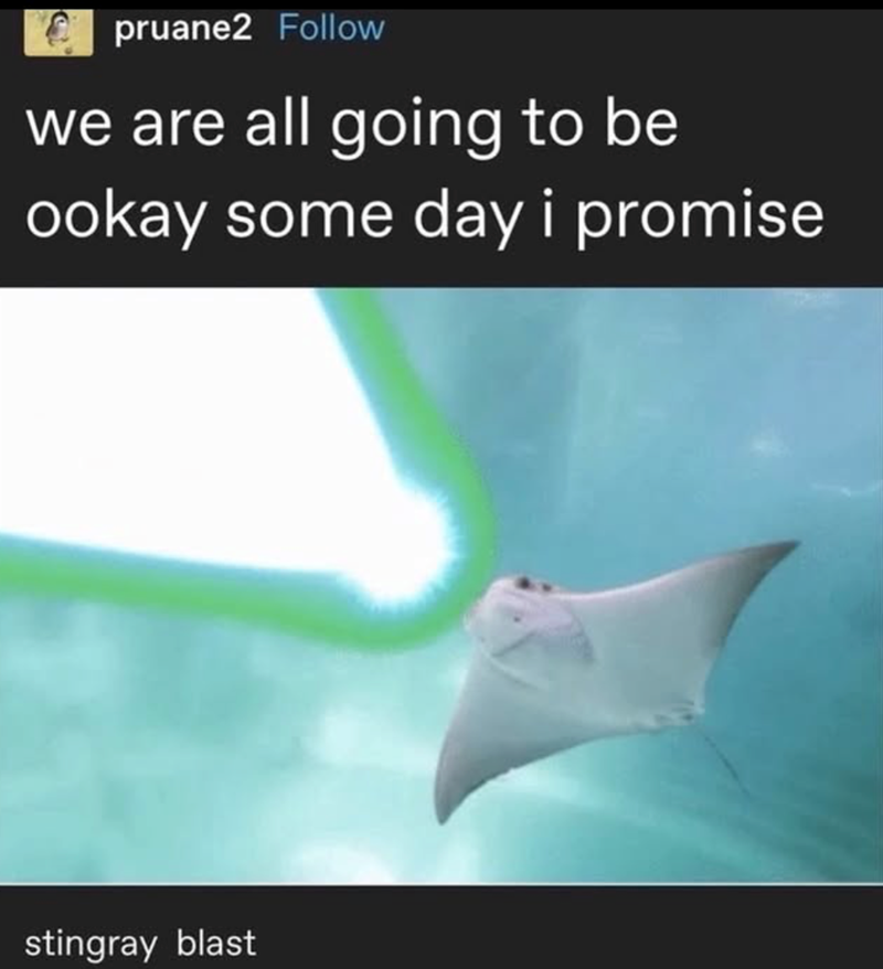 pruane2 Follow we are all going to be ookay some day i promise. stingray blast