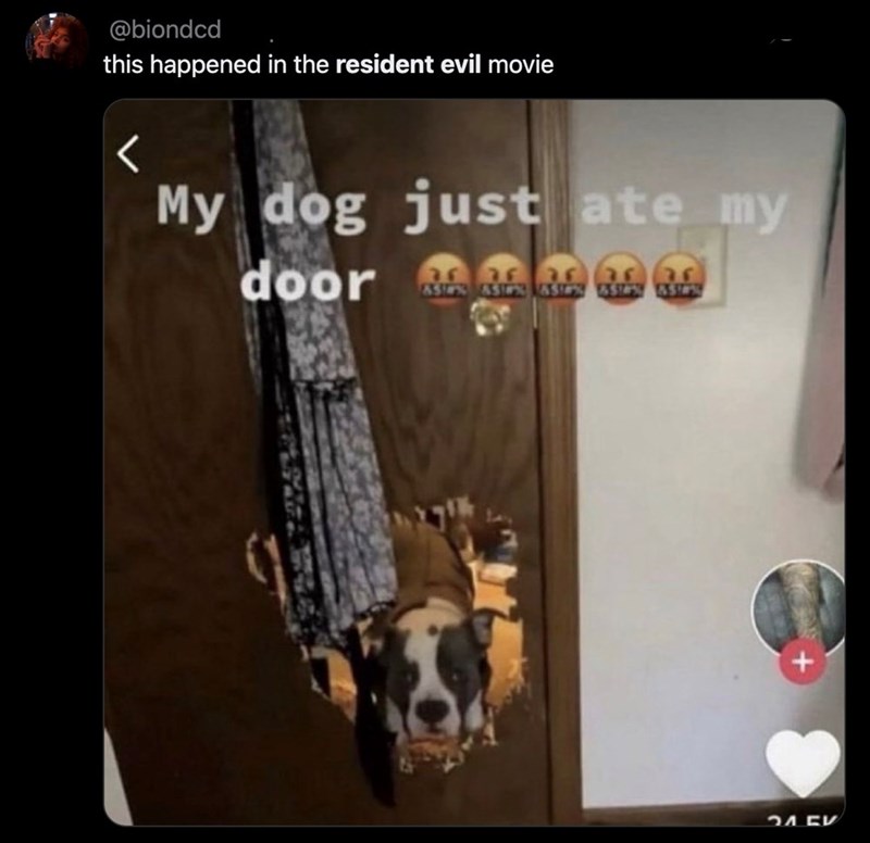 @biondcd this happened in the resident evil movie My dog just ate my door de de de de de 76 76 76 5% ЗА БУ