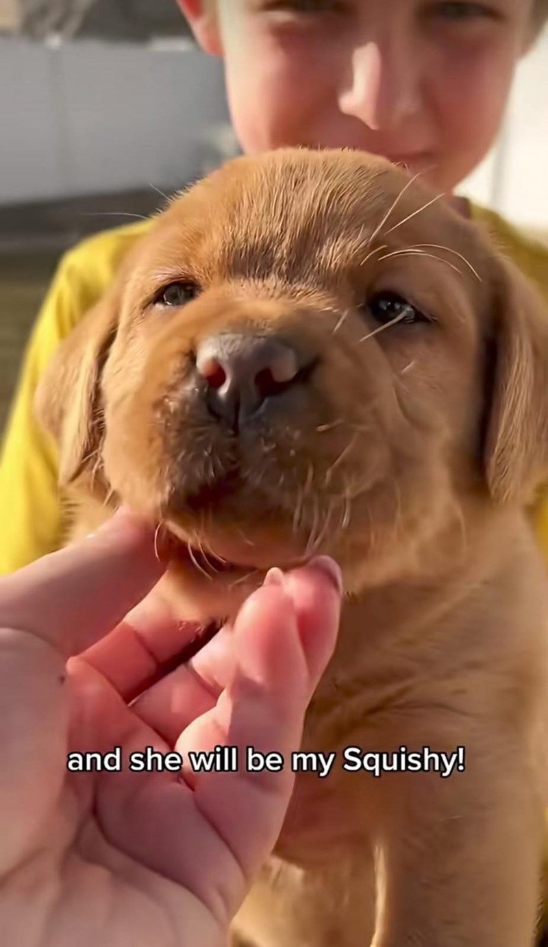 and she will be my Squishy!
