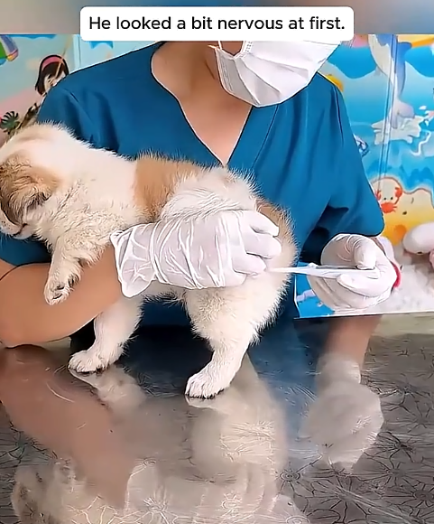 He looked a bit nervous at first.