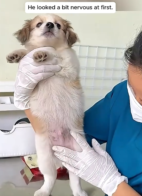He looked a bit nervous at first. B