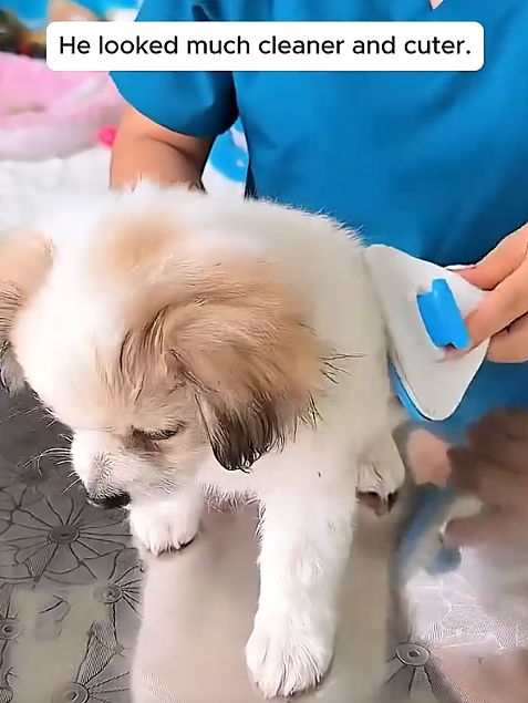 He looked much cleaner and cuter.