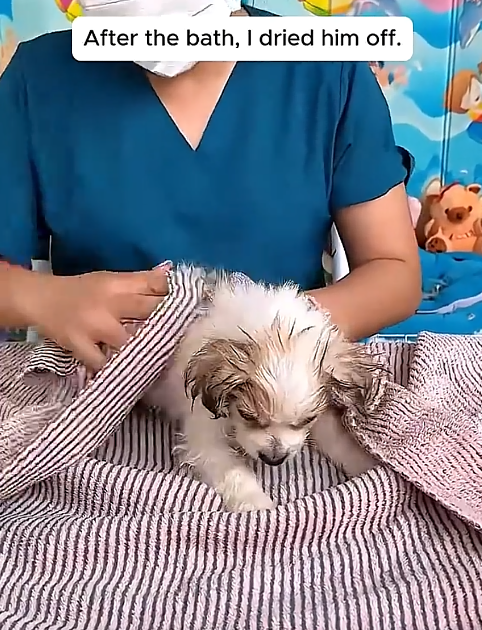 After the bath, I dried him off.