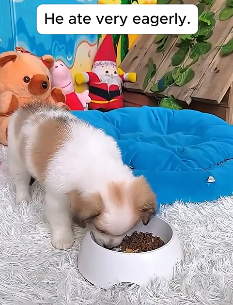 He ate very eagerly.