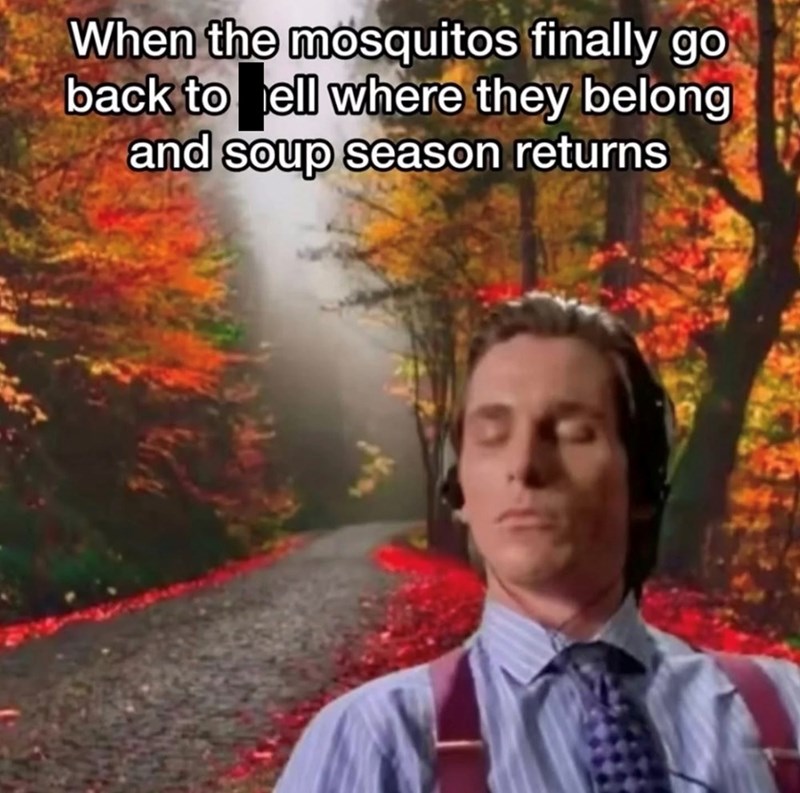 When the mosquitos finally go back to well where they belong and soup season returns