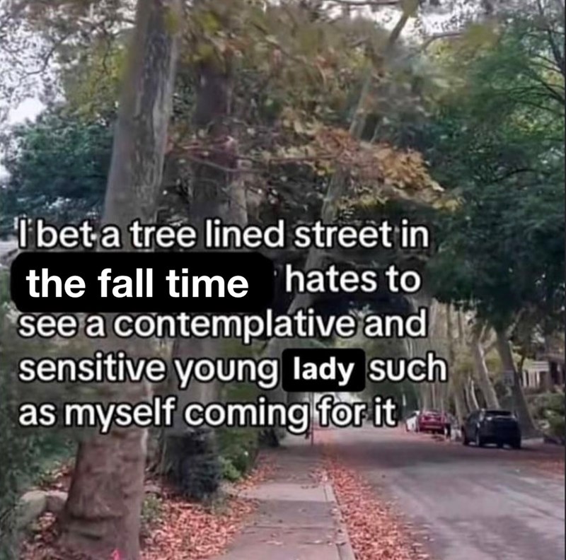 I bet a tree lined street in the fall time hates to see a contemplative and sensitive young lady such as myself coming for it