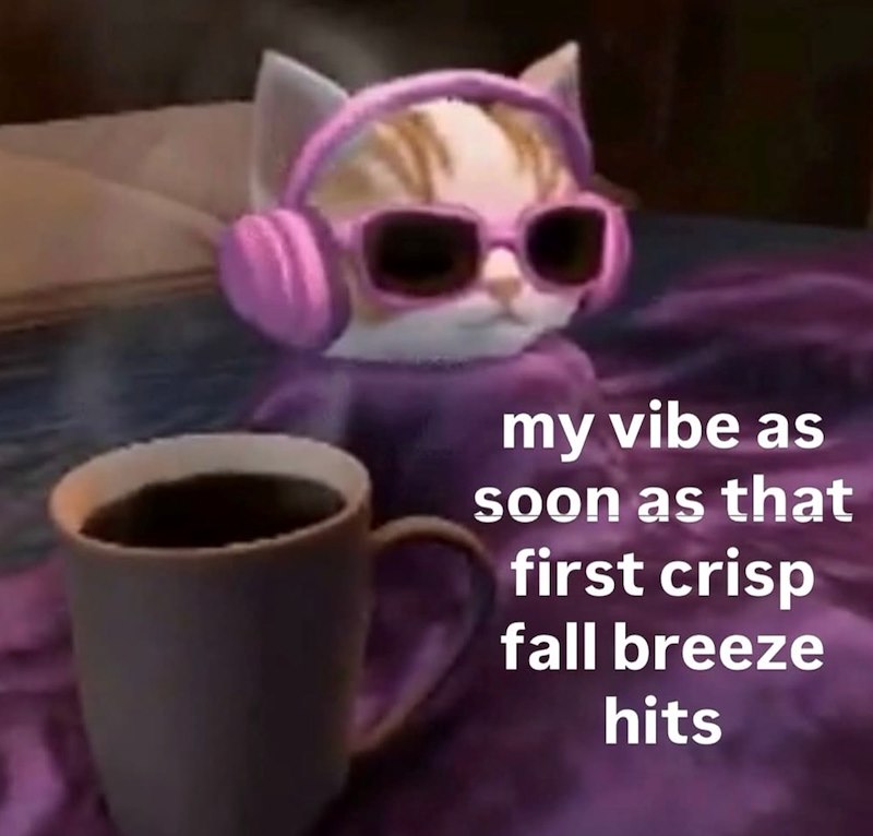 my vibe as soon as that first crisp fall breeze hits