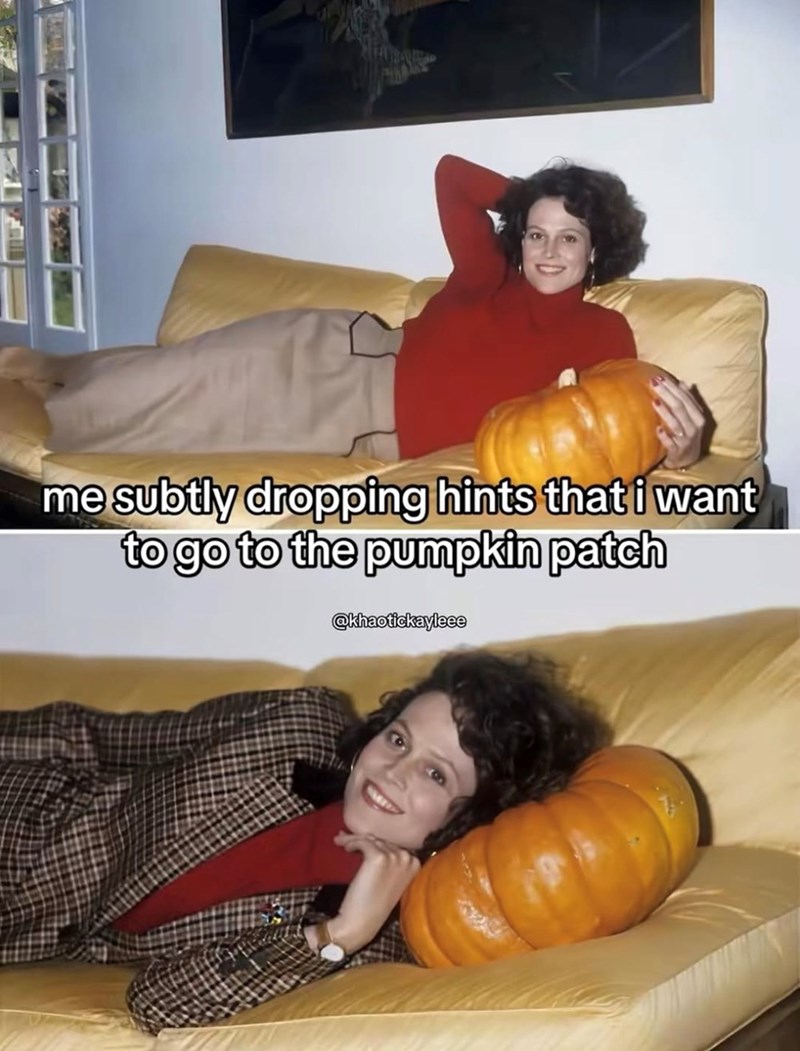 me subtly dropping hints that i want to go to the pumpkin patch @khaotickayleee