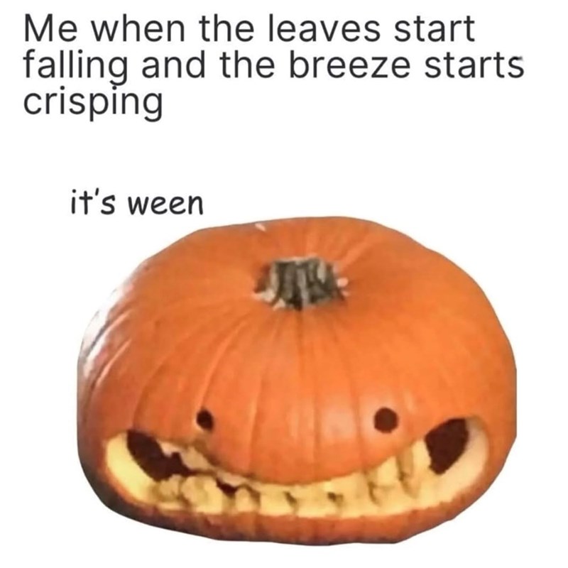 Me when the leaves start falling and the breeze starts crisping it's ween