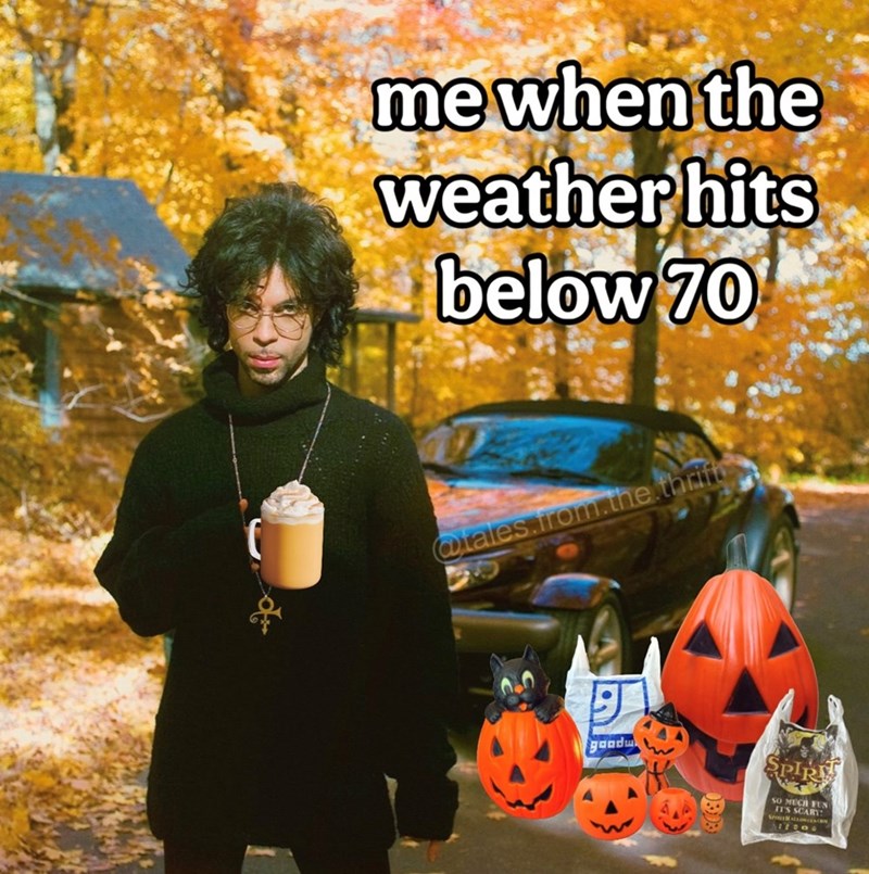 me when the weather hits below 70 @tales.from.the thrift good PIR SO MUCH FUN IT'S SCARY