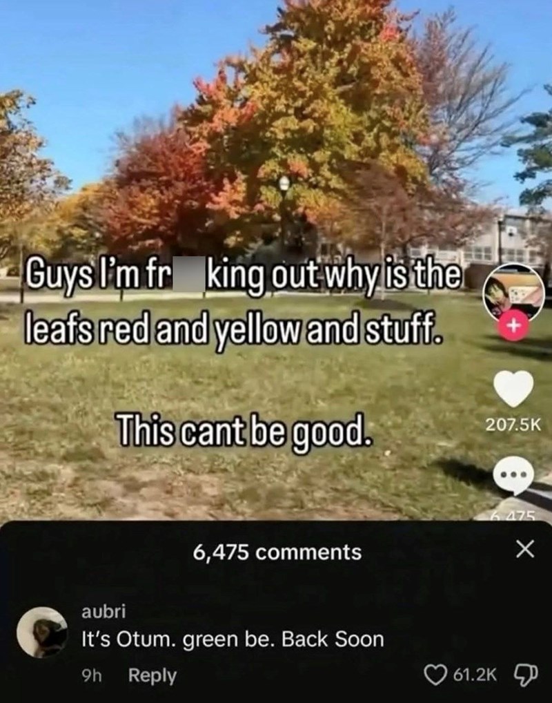Guys I'm fr king out why is the leafs red and yellow and stuff. This cant be good. 6,475 comments aubri It's Otum. green be. Back Soon 9h Reply 207.5K 61.2K 6.475