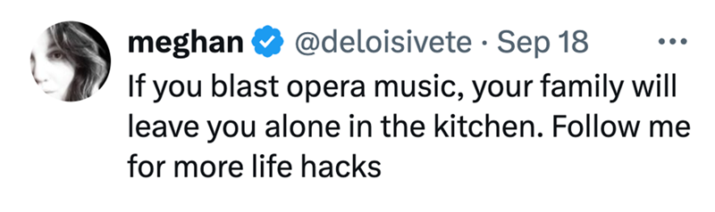 • meghan @deloisivete Sep 18 ... If you blast opera music, your family will leave you alone in the kitchen. Follow me for more life hacks