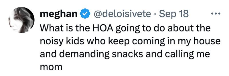 • meghan @deloisivete Sep 18 What is the HOA going to do about the noisy kids who keep coming in my house and demanding snacks and calling me mom