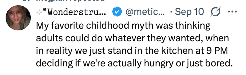 **Wonderstru... @metic... Sep 10 ☑ ... My favorite childhood myth was thinking adults could do whatever they wanted, when in reality we just stand in the kitchen at 9 PM deciding if we're actually hungry or just bored.