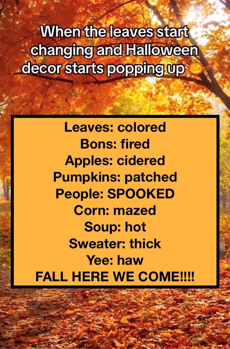 When the leaves start changing and Halloween decor starts popping up Leaves: colored Bons: fired Apples: cidered Pumpkins: patched People: SPOOKED Corn: mazed Soup: hot Sweater: thick Yee: haw FALL HERE WE COME!!!!