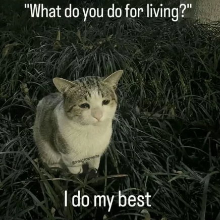 "What do you do for living?" Borangecarmeme I do my best