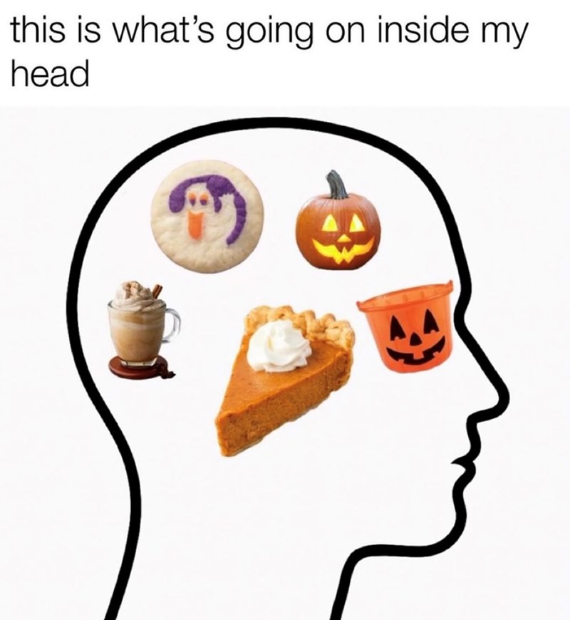 this is what's going on inside my head