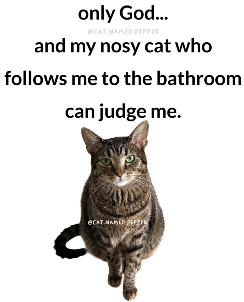 only God... @CAT.NAMED.PEPPER and my nosy cat who follows me to the bathroom can judge me. @CAT.NAMED PEPPER
