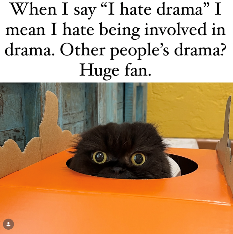When I say "I hate drama” I mean I hate being involved in drama. Other people's drama? Huge fan.