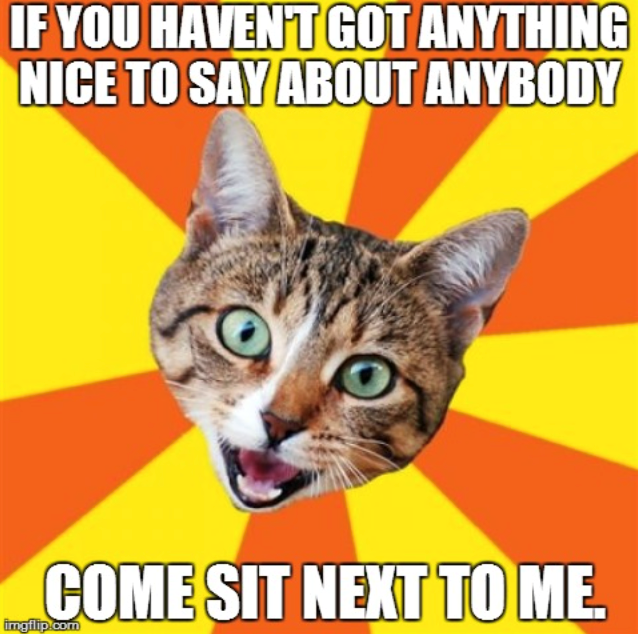 IF YOU HAVEN'T GOT ANYTHING NICE TO SAY ABOUT ANYBODY COME SIT NEXT TO ME. imgflip.com