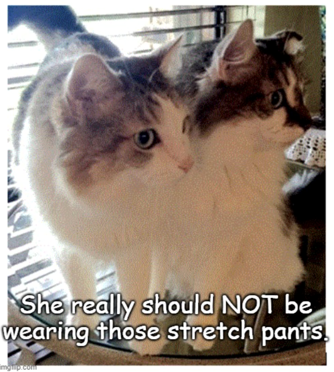She really should NOT be wearing those stretch pants. imgtillp.com