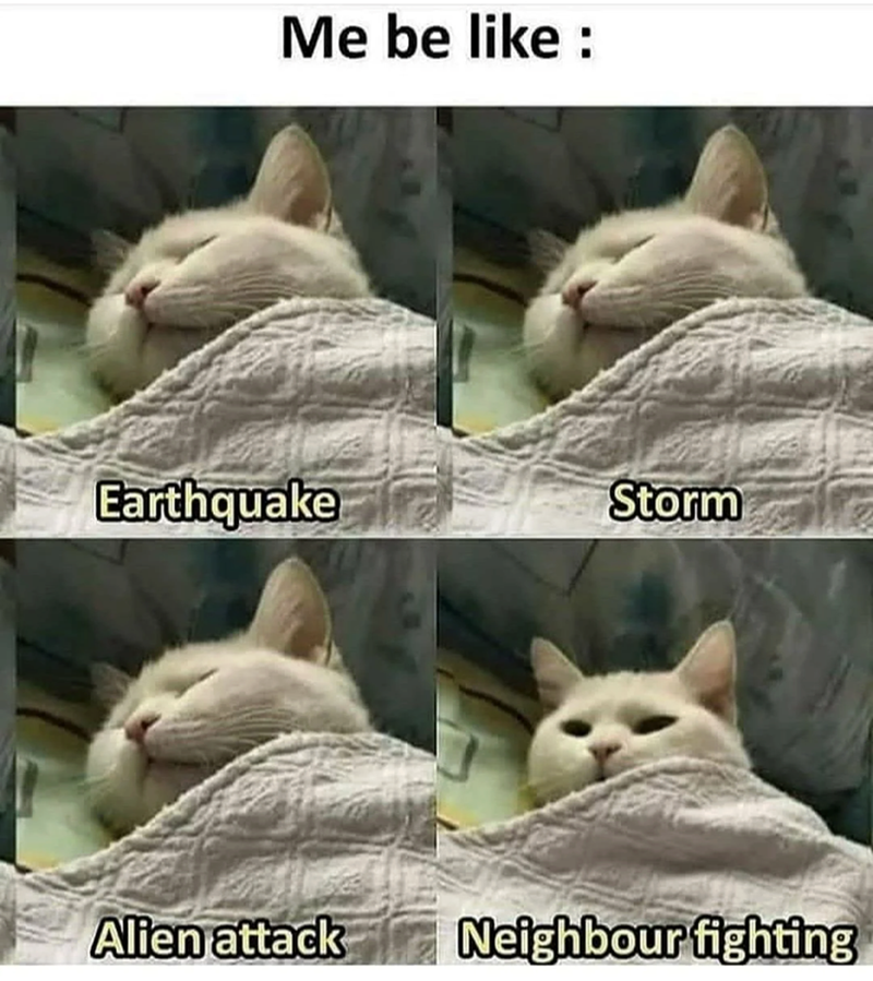 Me be like : Earthquake Storm Alien attack Neighbour fighting