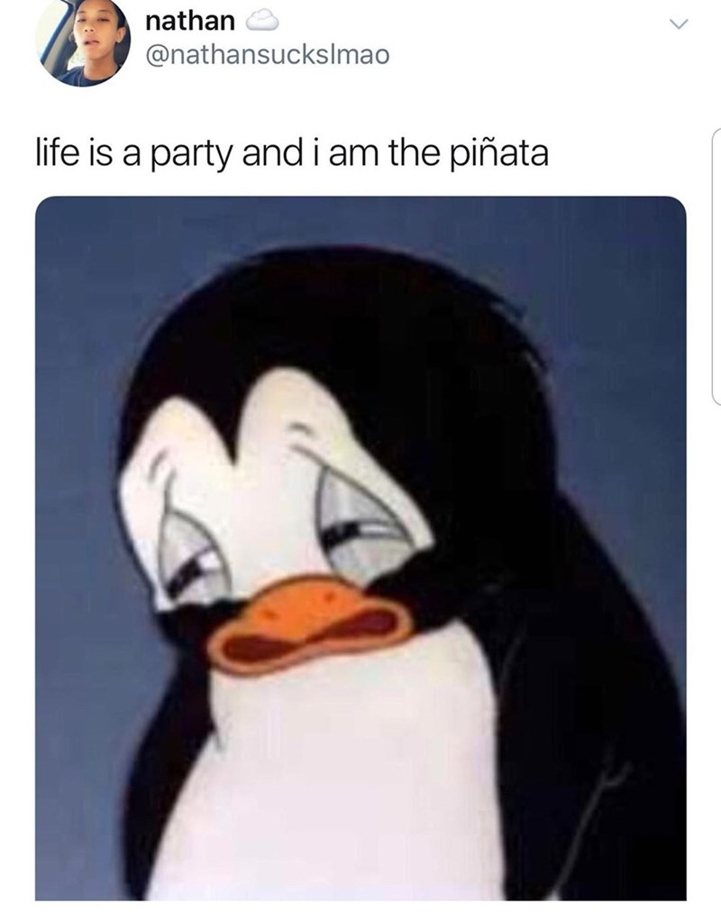 nathan @nathansuckslmao life is a party and i am the piñata