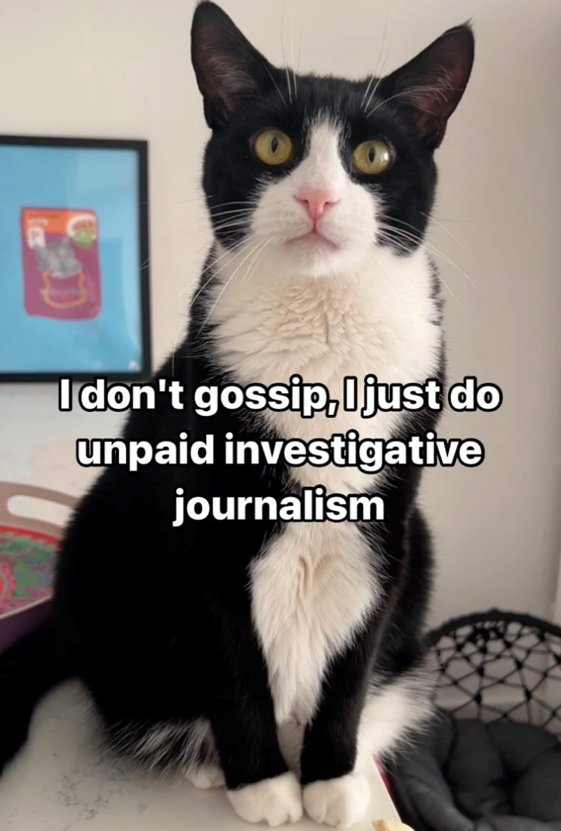 I don't gossip, I just do unpaid investigative journalism