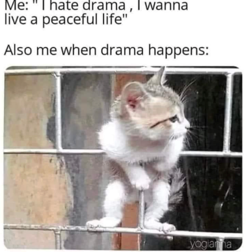 Me: "I hate drama, I wanna live a peaceful life" Also me when drama happens: yogianna