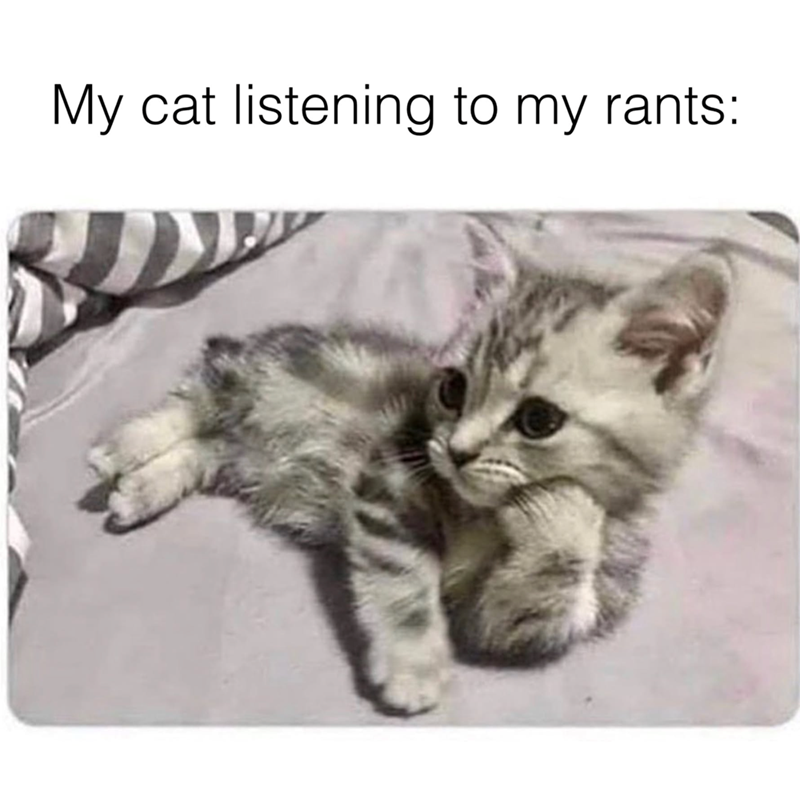 My cat listening to my rants: