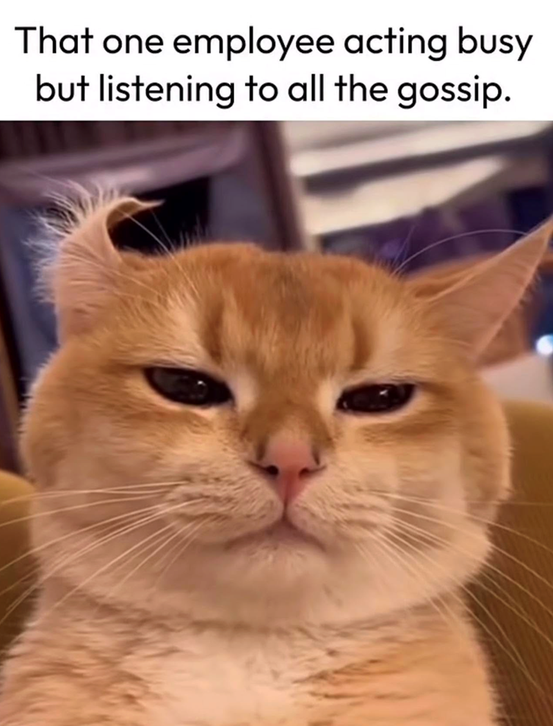 That one employee acting busy but listening to all the gossip.