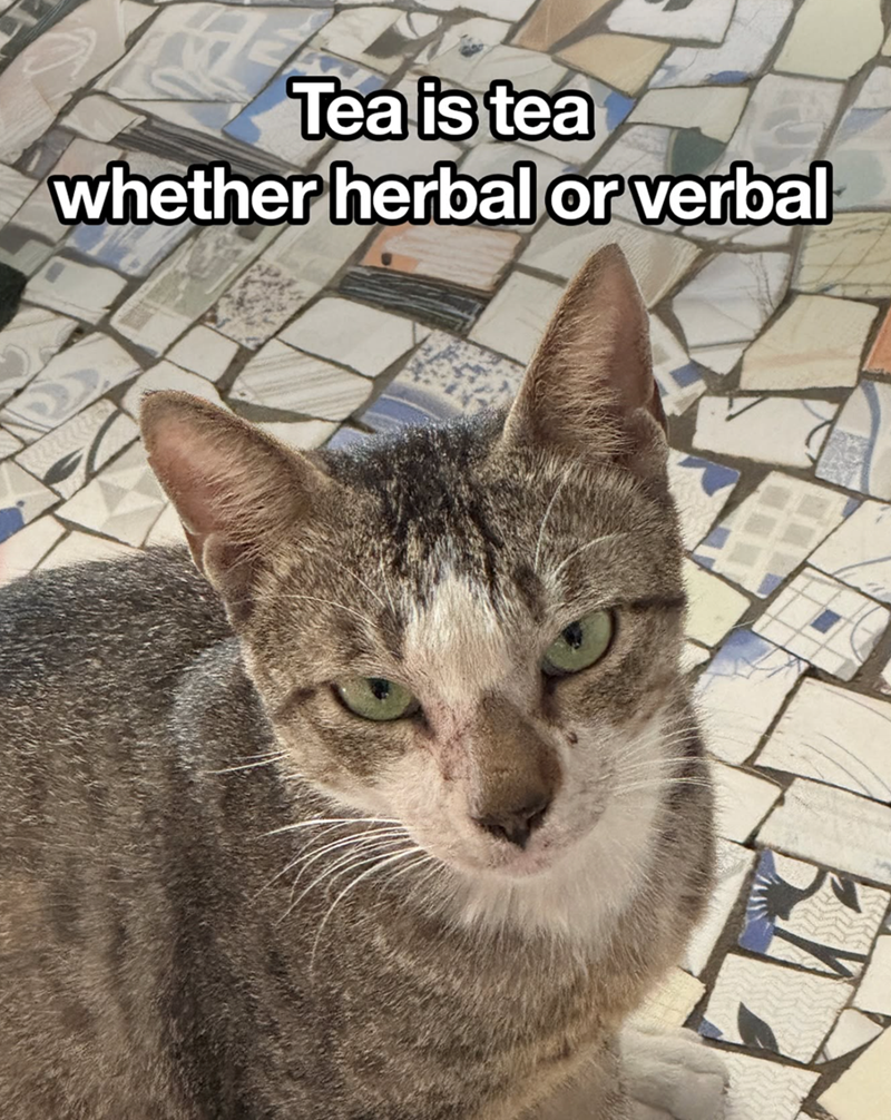 Tea is tea whether herbal or verbal