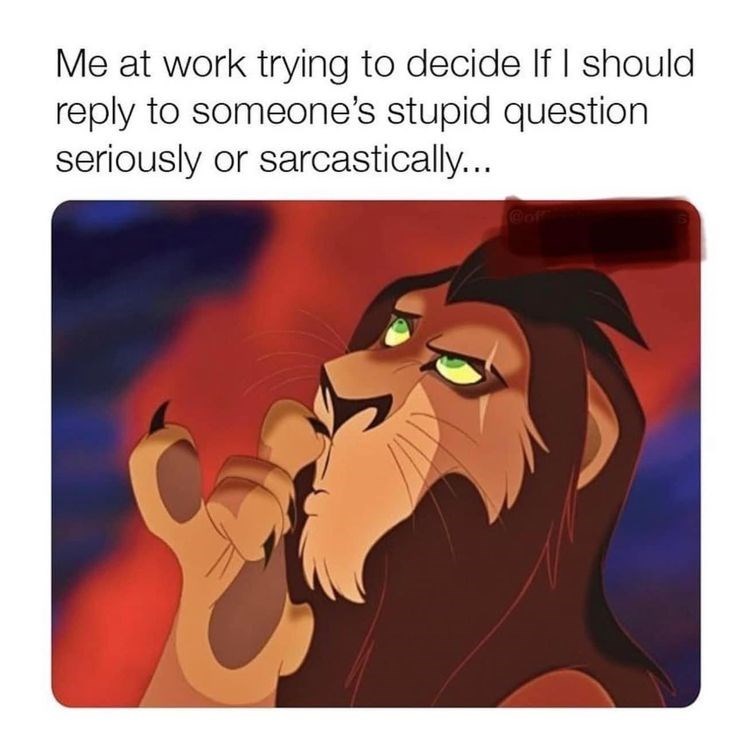 Me at work trying to decide If I should reply to someone's stupid question seriously or sarcastically... Coff