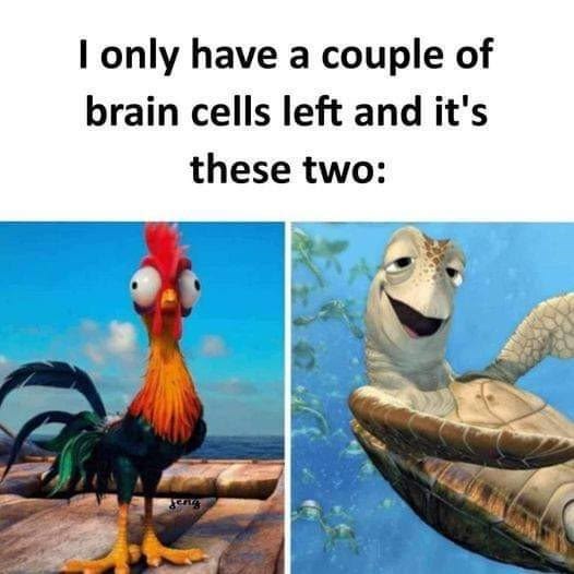 I only have a couple of brain cells left and it's these two: