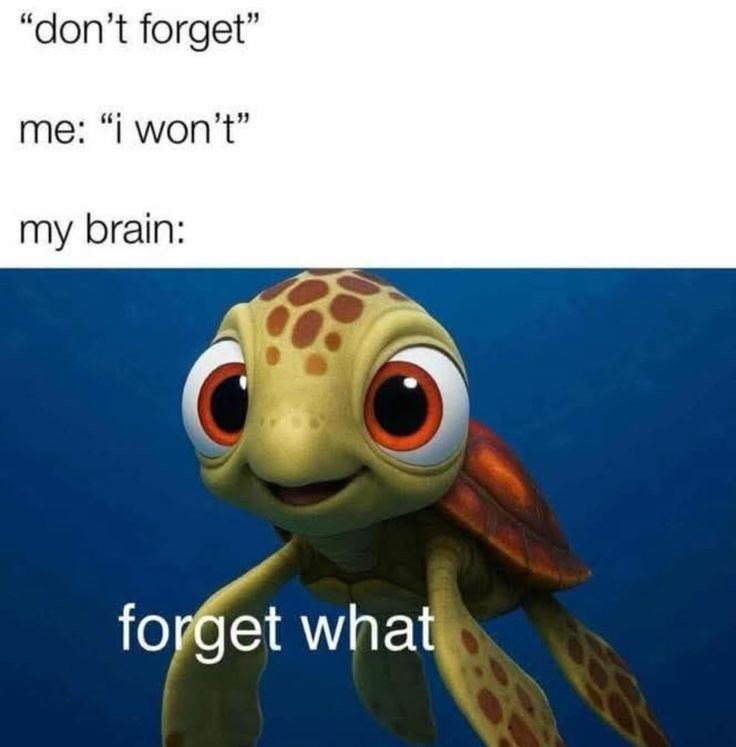 "don't forget" me: "i won't" my brain: forget what