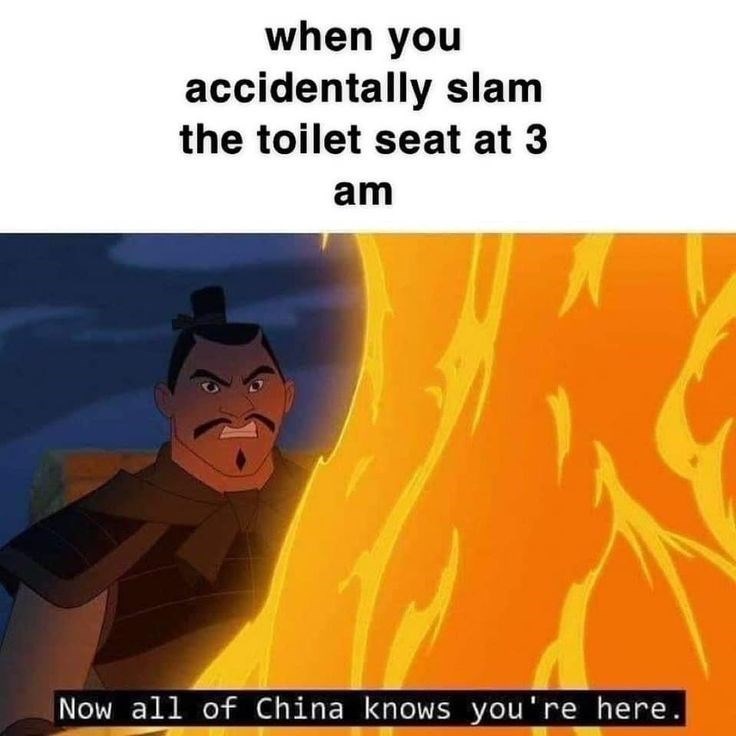when you accidentally slam the toilet seat at 3 am Now all of China knows you're here.